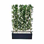 Bambu Yapay Çiçek 5 Adet