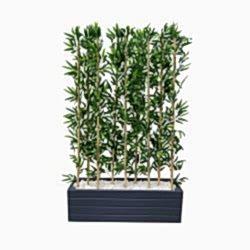 Bambu Yapay Çiçek 5 Adet