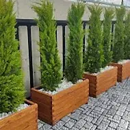 Kertme Ahşap Saksı