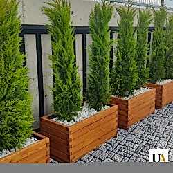 Kertme Ahşap Saksı