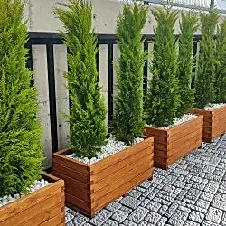 Kertme Ahşap Saksı