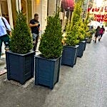 Geçmeli Ahşap Saksı