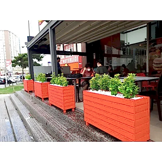 Altuni Taflan Çiçeği