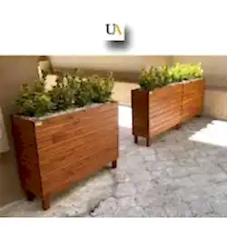 Altuni Taflan Çiçeği