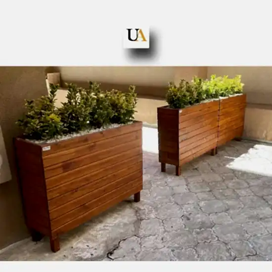 Altuni Taflan Çiçeği